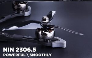 Flywoo Vampire2 Brushless NIN 2306.5 1750KV Motors